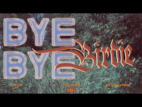 Bye-Bye Birdie
