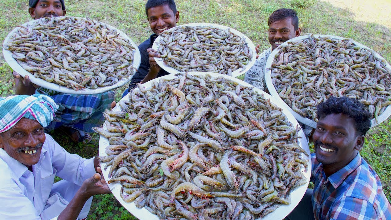 PRAWNS GRAVY Recipe | Villagers cooking Prawns Masala | Shrimp Curry | Healthy Village Food