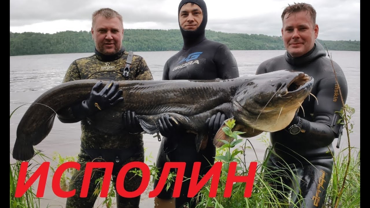 Суппорт апл сом
