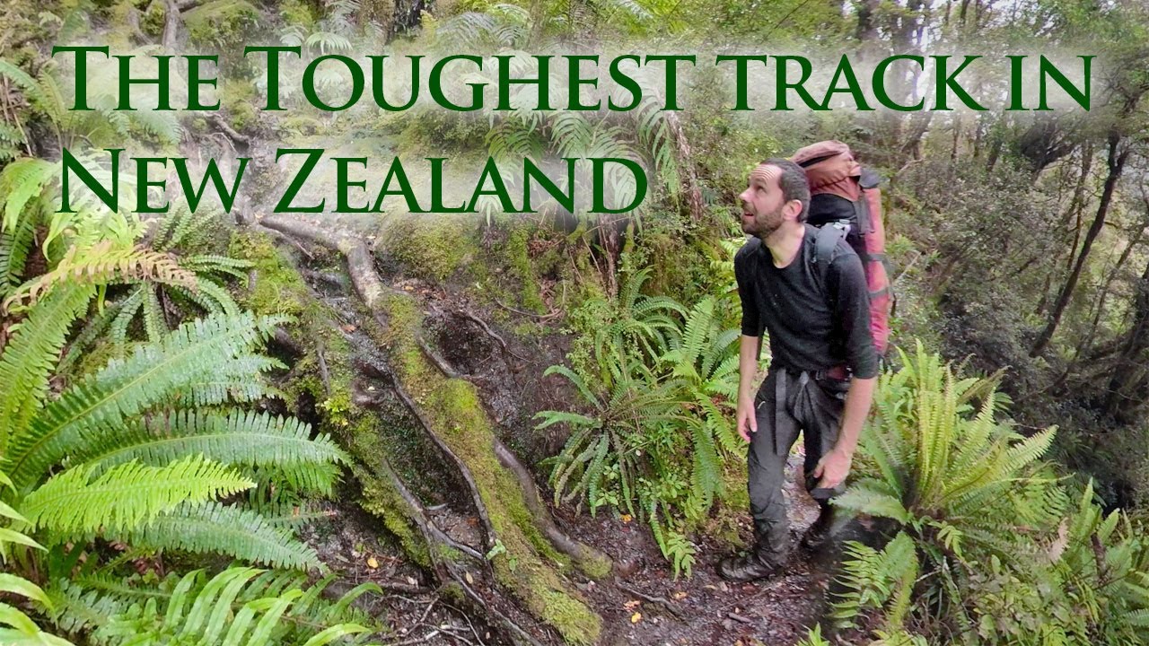 Hard Hiking on the Dusky Track