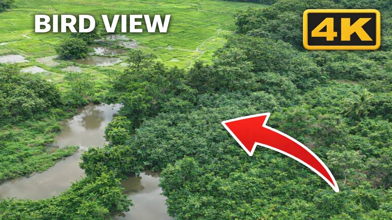 Peaceful Aerial Drone Footage of River, Lake & Green Farmland  Relaxing Nature