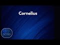 CORNELIUS - Twisting &amp; Glistening 