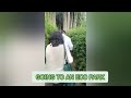 The best place to go for vacation #minivlog #memoriesmade #travel #trip#vacation #darjeeling
