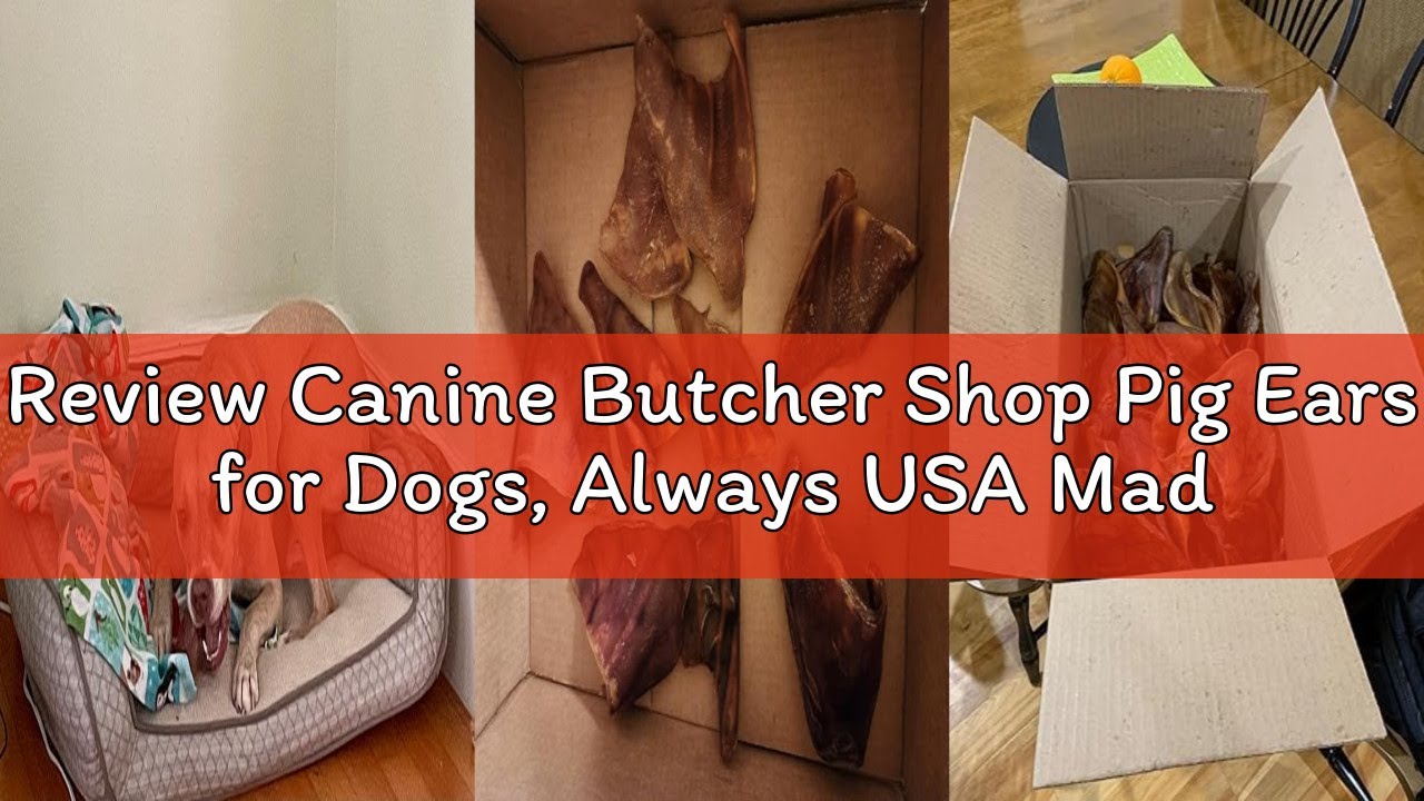 Review Canine Butcher Shop Pig Ears for Dogs, Always USA Made (30-Pack), All Natural, Sourced in USA