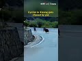 Cyclist in Xizang gets chased by yak