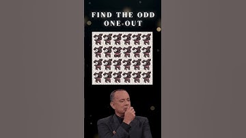 5 Seconds to Find The DIFFERENT Puppy - Can You Beat The Clock?