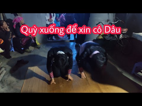 ĐỘC ĐÁO VỚI LỄ XIN DÂU CỦA DÂN TỘC H'MÔNG - ĐÁM CƯỚI CÔ DÂU NGƯỜI H'MÔNG Hmoob haus cawv | Cói Lalin
