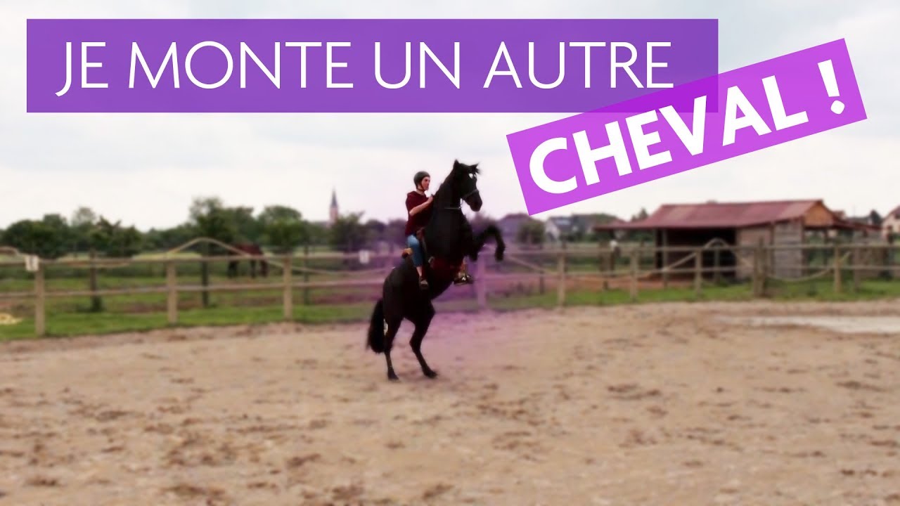 Je Fais Un Cabre Pour La 1ere Fois Youtube