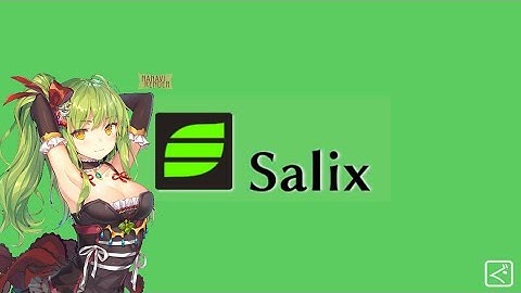 A very painful install of Salix Linux in Virtual Box