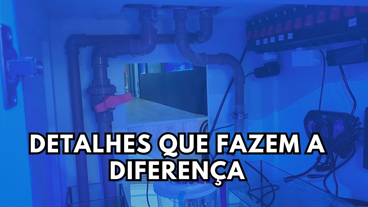 60 x 50 x 50 = Um aquário de 150 litros com foco em qualidade  !