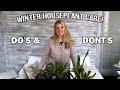 Do Your Houseplants Struggle in Winter? Winter Houseplant Care Do's & Dont's!