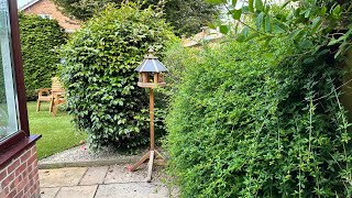 Spring border growth gets a Tidy