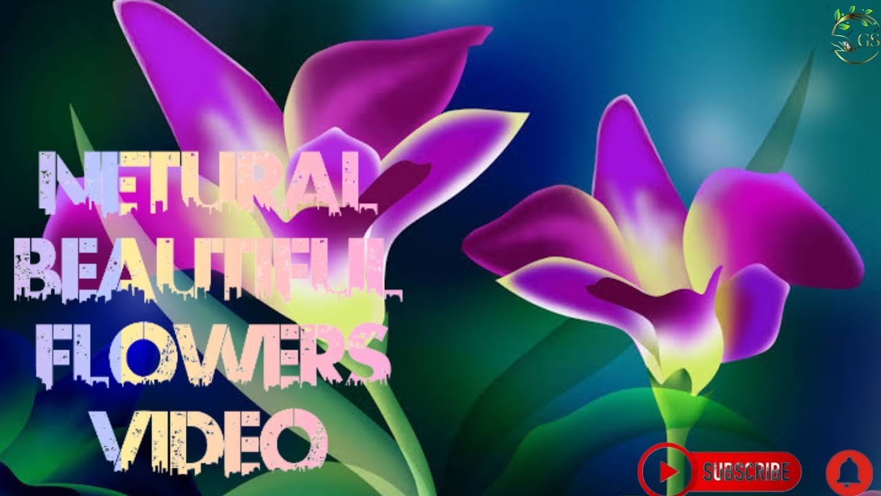 Neturalview Most Beautiful Flowers Most Beautiful Flowers video YouTube