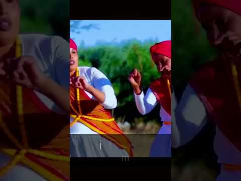 Dun Jaceyl L Dhaanto L Bishaar Awal Saynab Aga