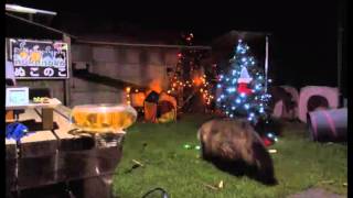 Download lagu 201512051 201512051