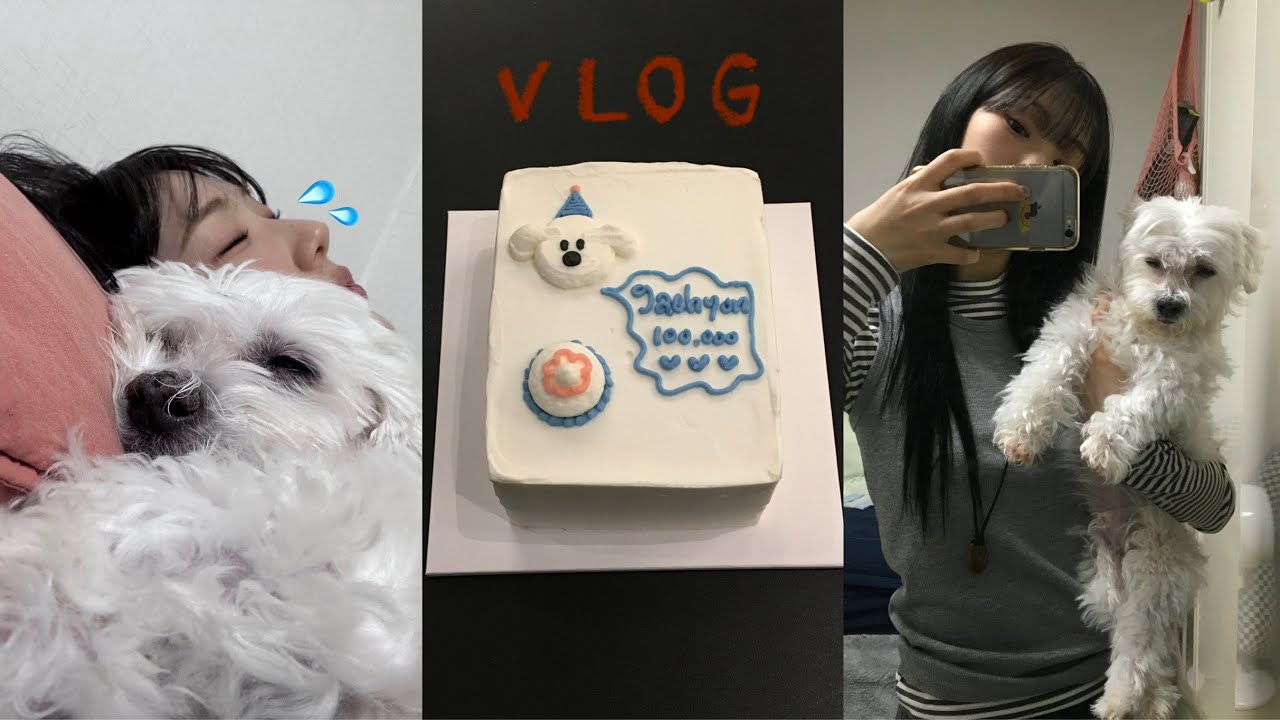 VLOG. 갓생 살다가 갑자기 히키코모리 .. | 번아웃 부정기 ^^ | 부천에서의 마지막 부이로그..~ | 더현대 오피쉬 팝업 | 이사준비 시작 | 드디어 10만 유튜바 !