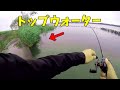 2020年 7月 トップウォーター POPX 霞ヶ浦 北浦 エクストリーム出社
