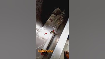 dialysis department washing room