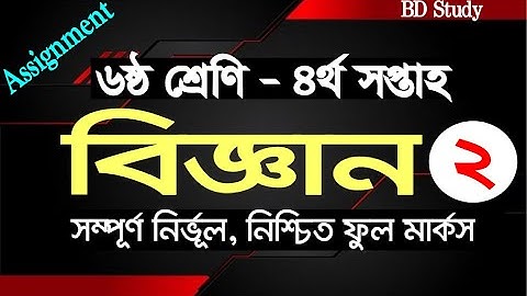 Class 6 Science Assignment 4th Week Answer [Solution] ৬ষ্ঠ বিজ্ঞান এ্যাসাইনমেন্ট উত্তর ৪র্থ সপ্তাহ