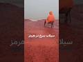 سیلاب سرخ در هرمز 