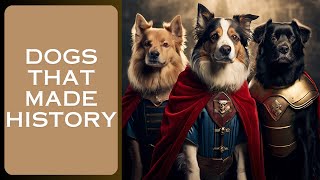 Dogs that Made History by LES ANIMAUX DE COMPAGNIE  61 views 1 month ago 7 minutes, 56 seconds