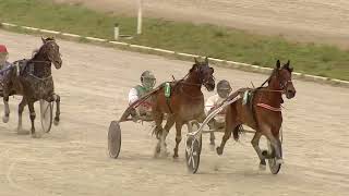 Vidéo de la course PMU CENTENARI REAL SOCIETAT HIPICA DE MALLORCA