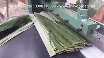 Máy cắt lá chuối làm nem , ché