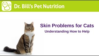 Skin Problems for Cats | Understanding How to Help | Dr. Bill's Pet Nutrition | The Vet Is In