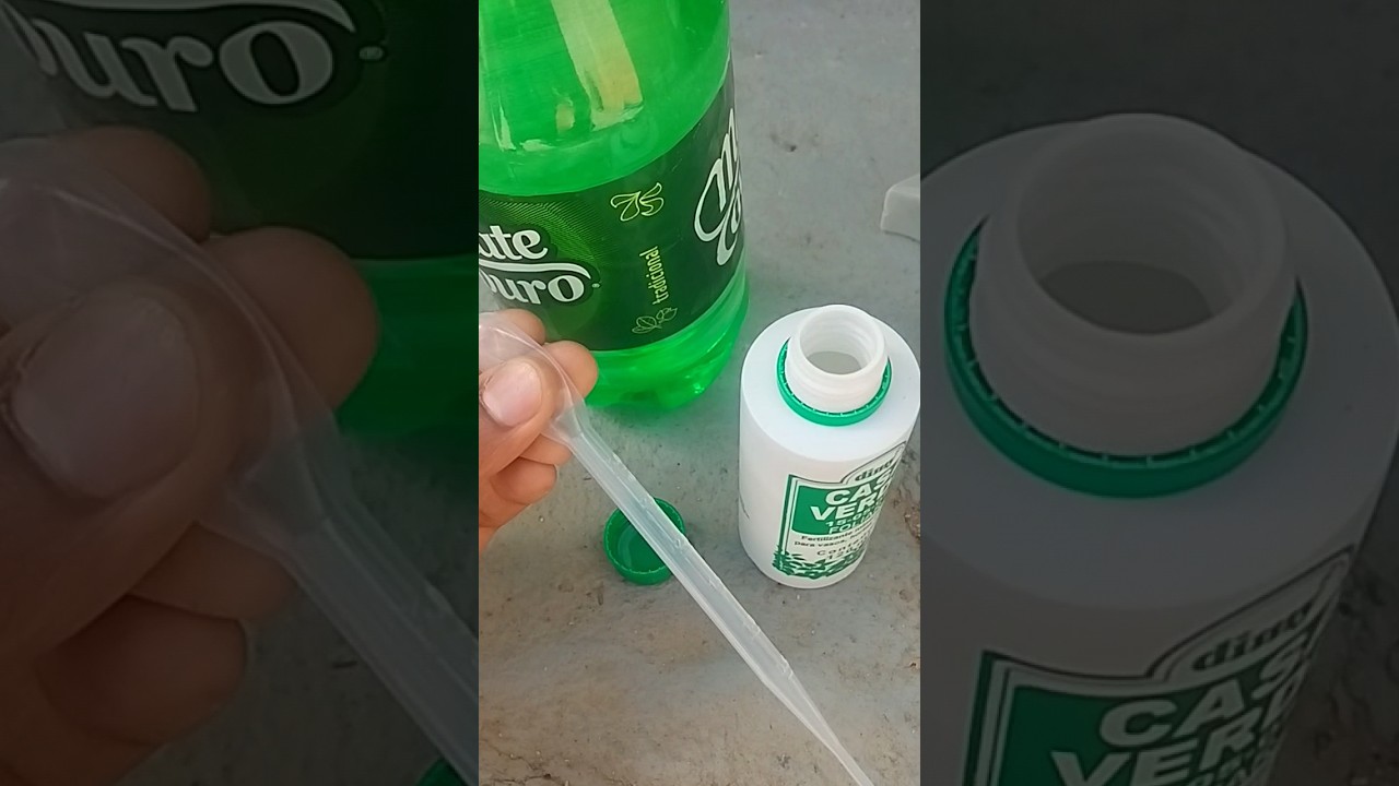 REGA FOLIAR nas COLOMBINHAS 🌱💚🫂