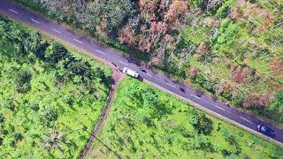 Java Rubber Plantation Remastered 4K
