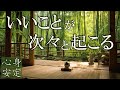 【聴く開運習慣】いい事が次々と起こる高純度ソルフェジオ周波数528Hz 963Hz 自律神経の乱れの改善と右脳の癒し #開運 #奇跡の周波数 #ヒーリングミュージック