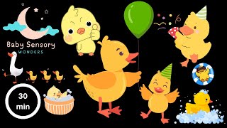 Baby Sensory Videos for Happy Little Ones!