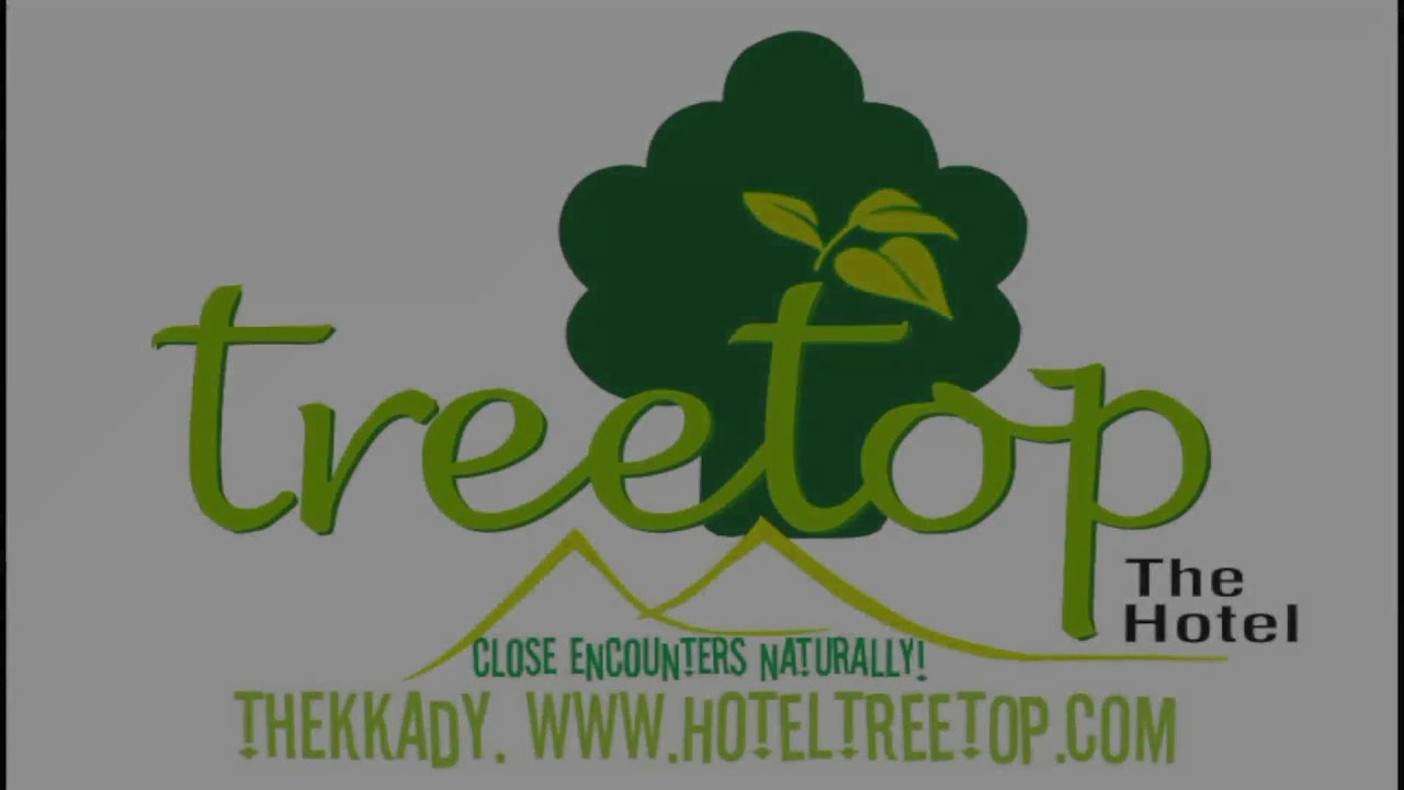 Hotel Treetop - YouTube