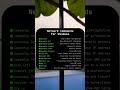 Network Command For Windows