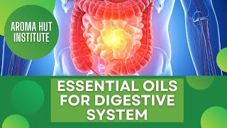 Six Essential Oils For Digestion