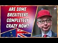 Are some Brexiteers completely crazy now? | Outside Views