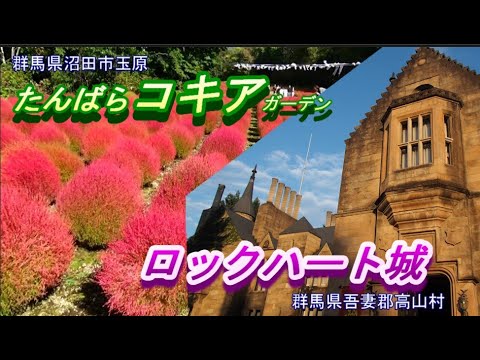 たんばら高原のコキア　/　ロックハート城