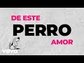 La Maquinaria Norteña - Perro Amor (Lyric Video)