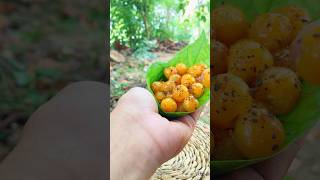 අලයක කර කන Kiri Koon Pickle