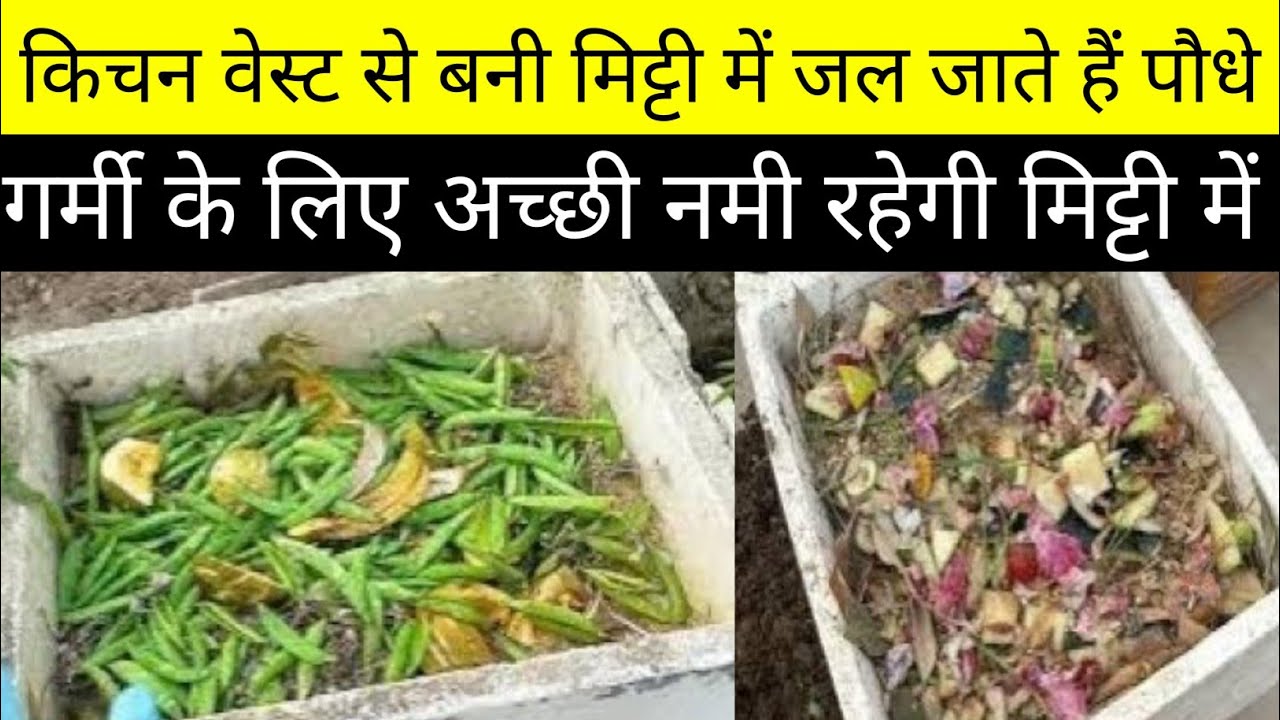 किचनवेस्ट गार्डनवेस्ट राख और धान की भूसी से गमले भरें/how to fill Bigpot with kitchenwaste & garbage