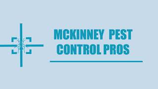 McKinney Pest Control Pros- Spider Control Service in McKinney TX