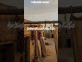 #islamicshorts #islamicstoriesinurduandhindi #islamicvideo #islamicknowledg
