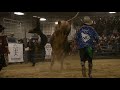 Bull Riding- February 13th, 2021 Blountville, TN