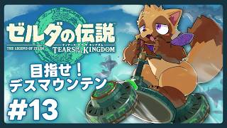 【ゼルダの伝説 ティアーズ オブ ザ キングダム #13】山に登りたい狸の積みゲー消化会【ウィルたぬきの日常】