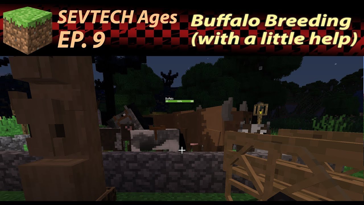 Between two Episodes] Buffalo Breeding and Flame Grilled TM Infringement - SEVTECH Ages Ep. -