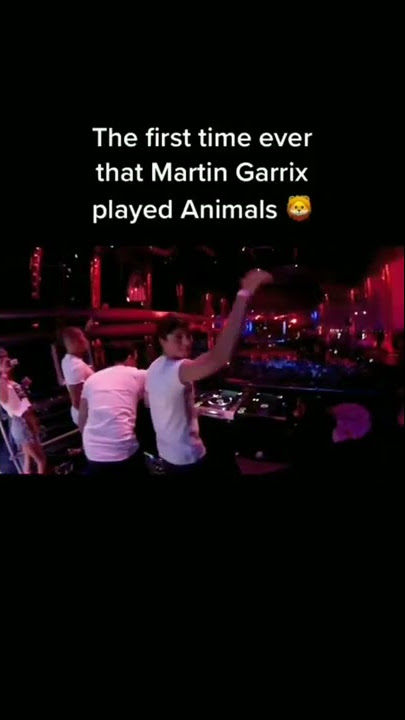 The Very First Time When Martin Garrix Played Animals Live #martingarrix #live #animals #edm #music