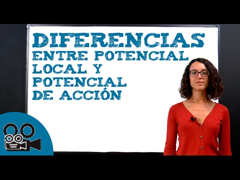 Vídeo: Diferencia Entre Acción Local Y Polarización