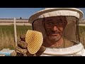 .da nemli bir mesleki srrm verdim arclk bees honey reels kefet beekeeping
