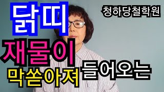(닭띠의 재물 금전운) 귀인의도움 신년운세 평생사주운세 애정운 직업운 사업운 #청하당철학원#청주유명철학관