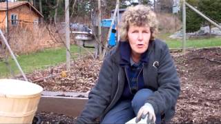 How to do a Soil Analysis